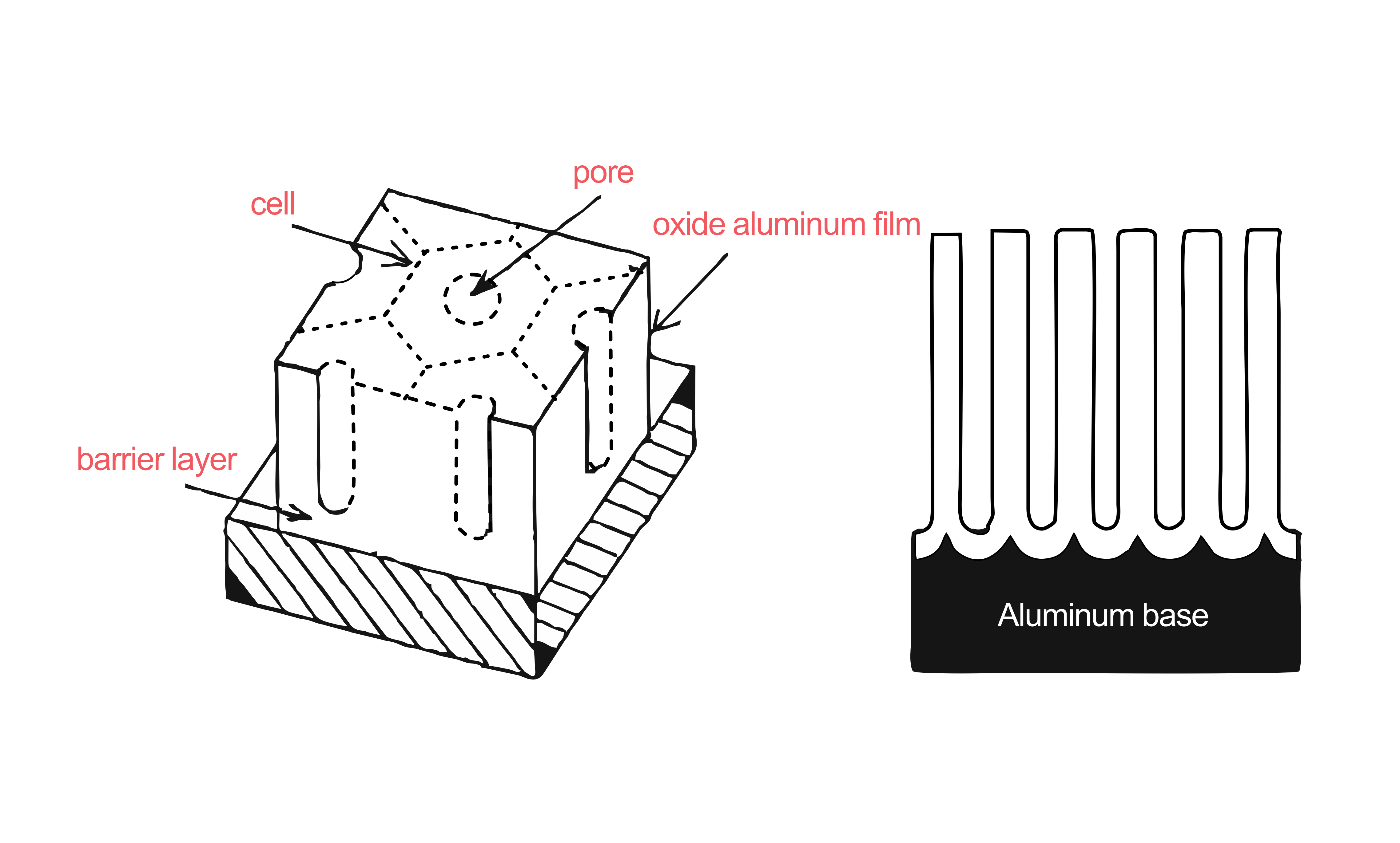 anodising aluminium process